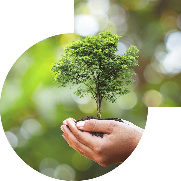 关怀人类、文化、环境与社会